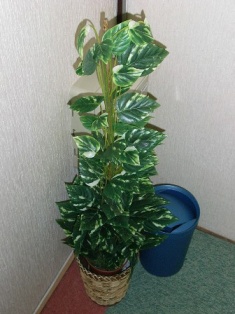 ݥȥ