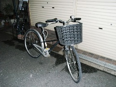 ž